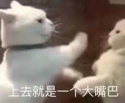 上去就是一个大嘴巴(猫猫表情包)