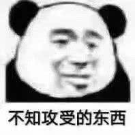 不知攻受的东西