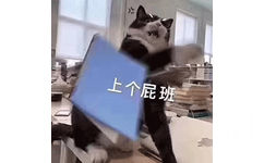 上个屁班(猫咪表情包)