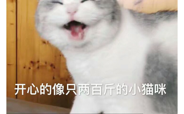 开心的像只两百斤的小猫咪