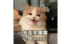 表面笑嘻嘻心里mmp(猫咪)