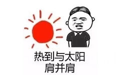 热到与太阳肩并肩 - 大夏天真的就是一个字：热