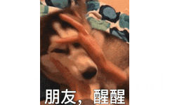 朋友,醒(搓狗头 GIF 动图)