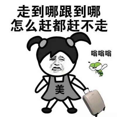 走到哪跟到哪 怎么赶都赶不走 - 我想，最爱我的是蚊子（小辫子）