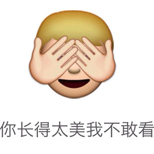 你长得太美我不敢看 - emoji搞笑表情