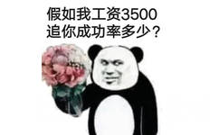 假如我工资3500追你成功率多少?