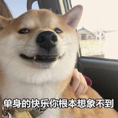 单身的快乐你根本想象不到