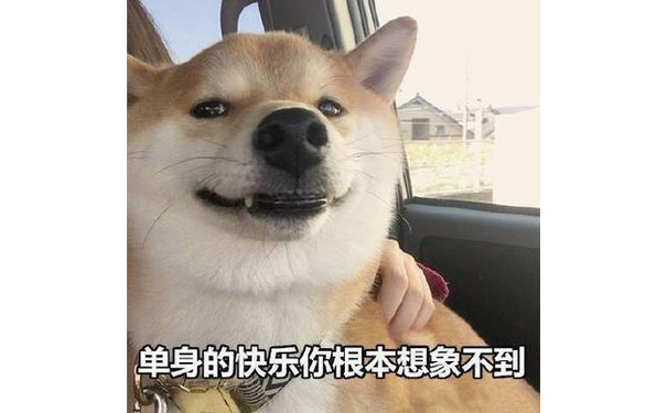 单身的快乐你根本想象不到