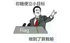 Flag 你随便立小目标，做到了算我输