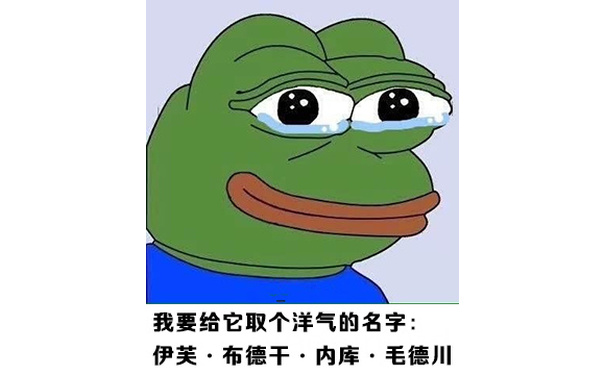 我要给它取个洋气的名字：伊芙-布得二-内裤-毛得川 - 我爱下雨天，真的！