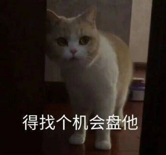 得找个机会盘他