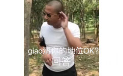 giao清你的地位 OK?回答（giao 哥表情包）