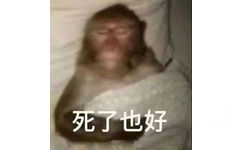 死了也好