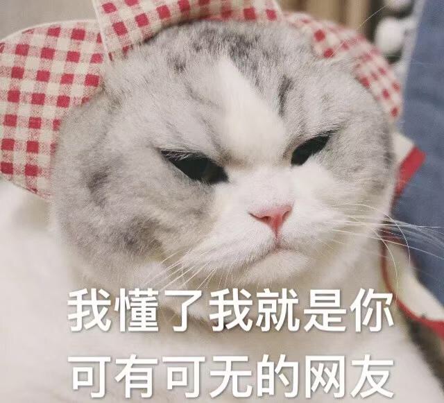 我懂了我就是你可有可无的网友（猫咪表情包） - 猫咪表情包第五弹