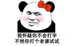 我怀疑你不会打字 不然你打个老婆试试（熊猫头撩汉表情包）