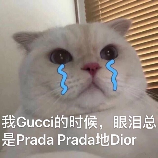 我 Gucci的时候,眼泪总是 Prada Prada地Dior