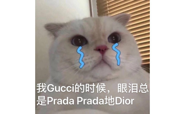 我 Gucci的时候,眼泪总是 Prada Prada地Dior