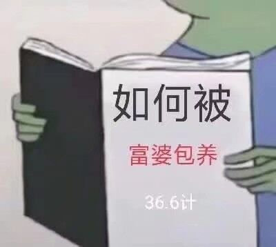 如何被富婆包养36.6计