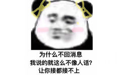 为什么不回消息我说的就这么不像人话?让你接都接不上(熊猫头表情包)