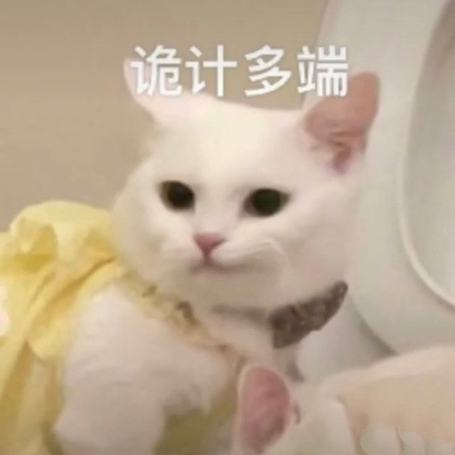 诡计多端(猫猫表情包)