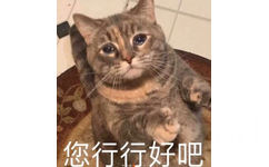 您行行好吧(流泪猫猫头表情包)