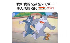 我和我的兄弟在2020事无成的迈向202021(猫和老鼠表情包)