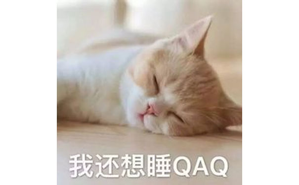 我还想睡QAQ