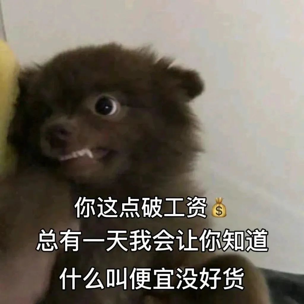 你这点破工资总有一天我会让你知道什么叫便宜没好货