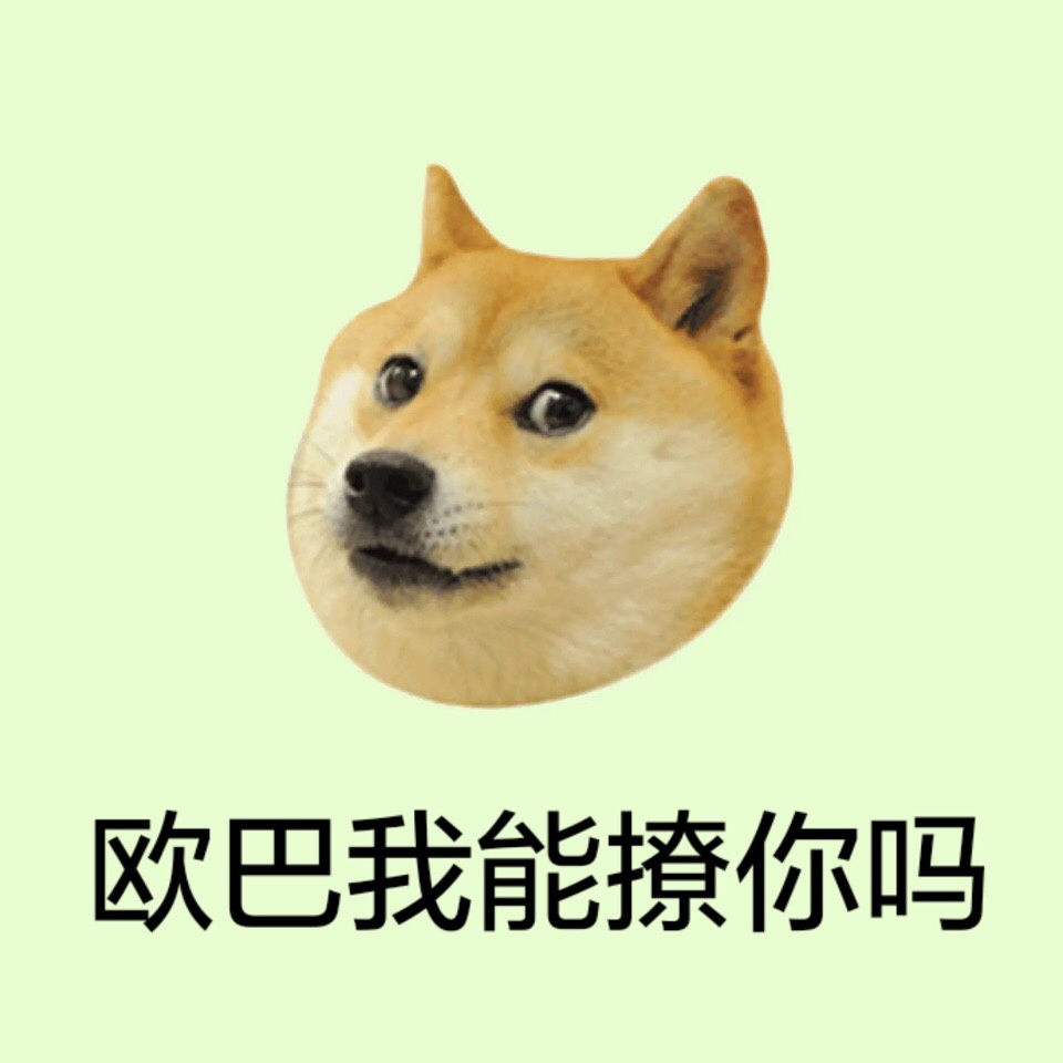 欧巴我能撩你吗 - 柴犬 doge头像系列