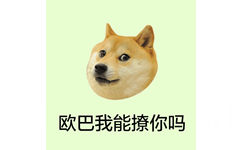 欧巴我能撩你吗 - 柴犬 doge头像系列