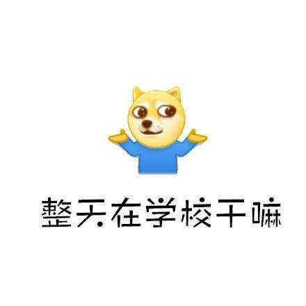 整天在学校干嘛 - 那么你在学校到底是干嘛的？ ​​​​