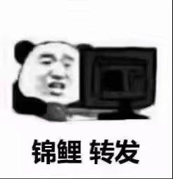 锦鲤 转发 - 考试前的我