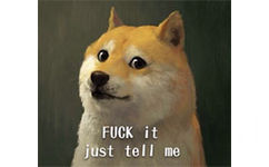 Fuck it, just tell me - doge最新装逼表情