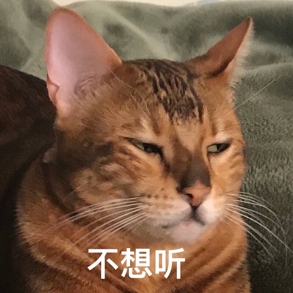 不想听(猫咪)