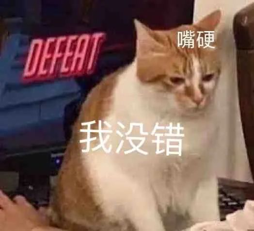 嘴硬我没错