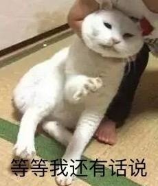 等等我还有话说（猫咪表情包）