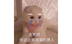 去死吧你这让我流泪的男人 - 热门表情包原图精选-2018/1/2