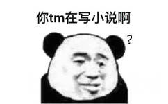 你 tm在写小说啊？？（熊猫头表情包）