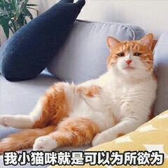 我是小猫咪就是可以为所欲为