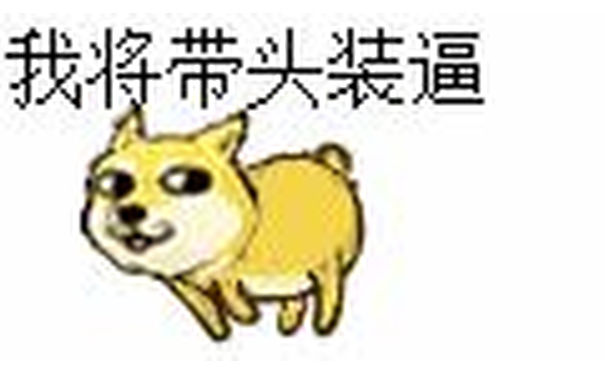 我将带头装逼 - 我将带头装逼（doge 表情）