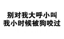 别对我大呼小叫的，我小时候被狗咬过 - 一波斗图必备纯文字表情