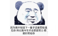 因为我不知道下一辈子还是否能遇见你，所以我今生才会那么努力把最好的给你（流泪熊猫头）