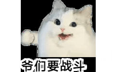 爷们要战斗(猫猫表情包)