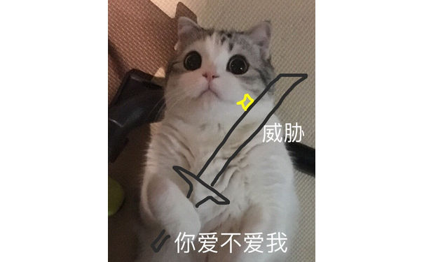 （猫咪）威胁 你爱不爱我