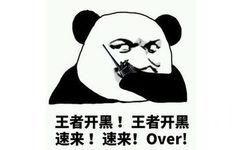 王者开黑!王者开黑速来!速来!over!(熊猫头对讲机表情包)