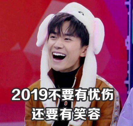 2019不要有忧伤还要有笑容 - 易烊千玺2019祝福表情包