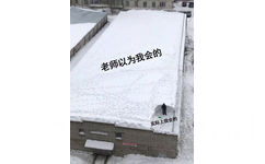 老师以为我会的 vs 实际上我会的（雪地） - 理想 VS 现实