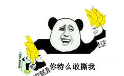 你特么敢撕我 - 滑稽表情引发的撕图战