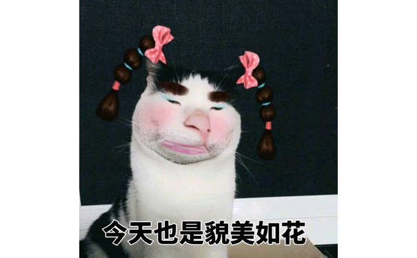 今天也是貌美如花