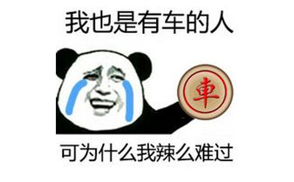 我也是有车的人 可为什么我辣么难过 - 2016 qq群金馆长表情